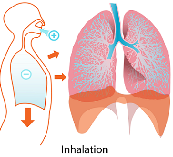 inhalación