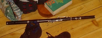 Flauta irlandesa