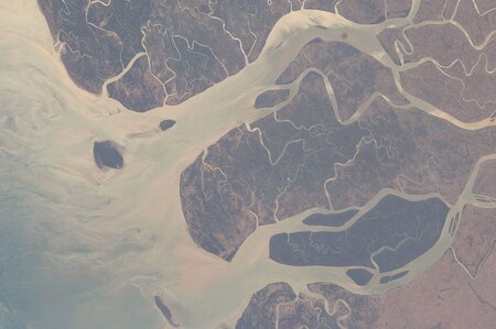 Una imagen de satélite del delta del Irrawaddy desembocando en el mar de Andamán.