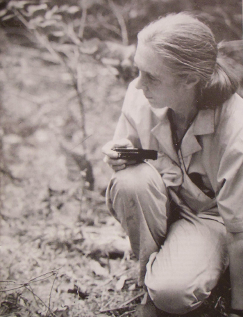 Jane Goodall