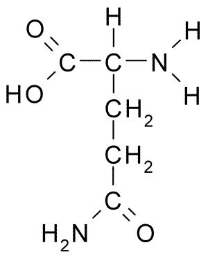 Glutamina
