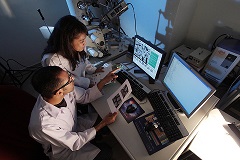 Completar la investigación para aplicar a un modelo de análisis del sistema de salud