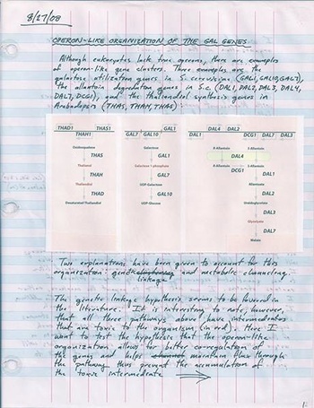 Ejemplo de una entrada de cuaderno de laboratorio