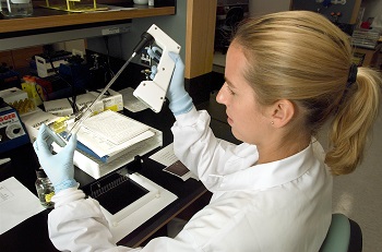 investigación de laboratorio
