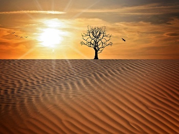 Desierto
