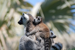 mamá y bebé