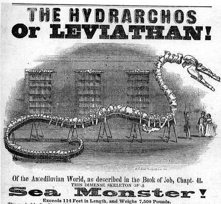 Anuncio para ver un esqueleto de leviatán, mostrado junto a varias personas para mostrar su tamaño.