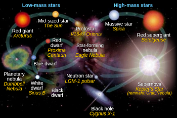 El ciclo de vida de las estrellas
