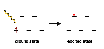 La luz de cierta frecuencia y longitud de onda puede excitar un electrón a un nivel superior