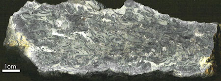 Cuadro de piedra caliza, un ejemplo de recristalización.