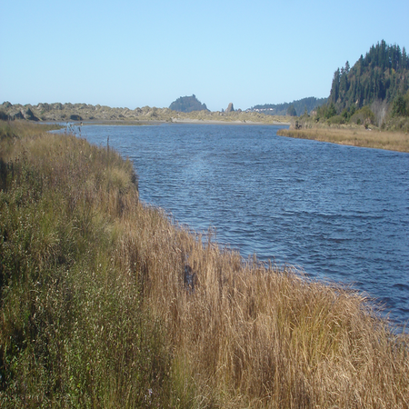 Estuario de Agua Salobre