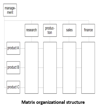 Estructura organizativa matricial con gestión de etiquetas, investigación, ventas de producción y finanzas