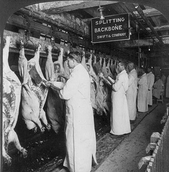 Inspecciones de carne en Chicago