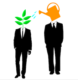 mentor