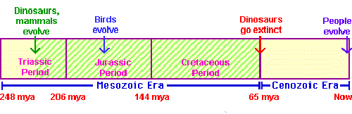 Cronología geológica que detalla la era mesozoica