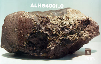 Este meteorito de Marte muestra evidencia de vida en forma de microfósiles