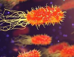 microbio