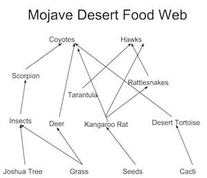 red alimentaria del desierto de mojave