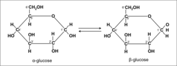 Imagen que muestra la estructura de un monómero monosacárido que se crea utilizando átomos de carbono, hidrógeno y oxígeno.