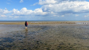 marisma