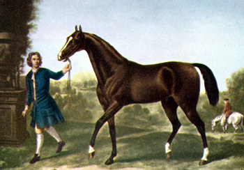 Una pintura de un caballo árabe de 1722