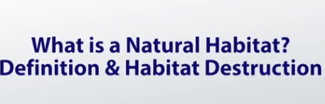 habitat