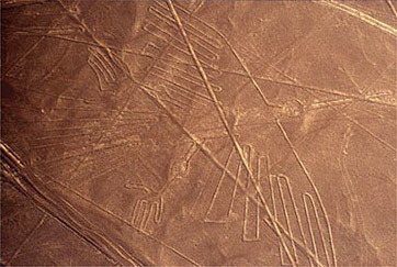 cóndor de nazca