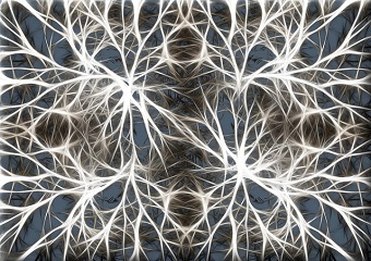 Neuronas de la ínsula