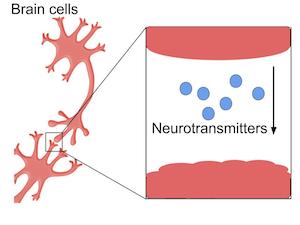 imagen de un neurotransmisor