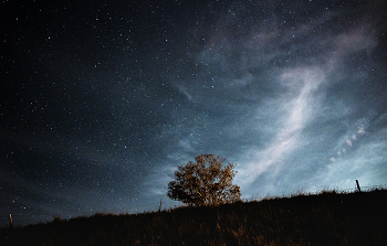 el cielo nocturno con estrellas