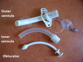 obturador