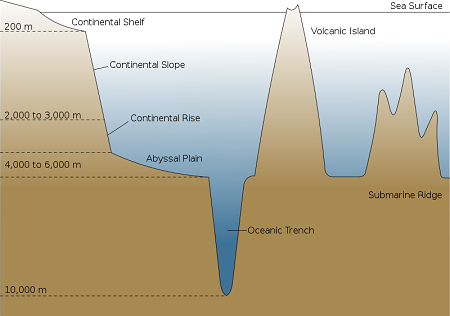 Una ilustración de la topografía del océano.
