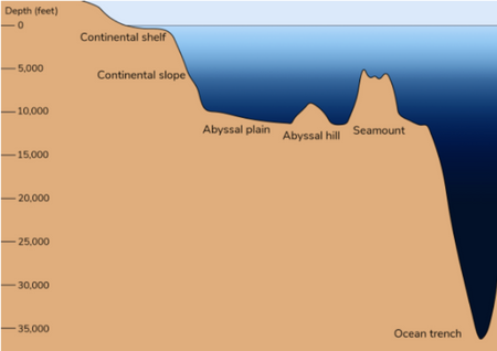 Un diagrama marrón y azul muestra las características del fondo del océano a distintas profundidades.