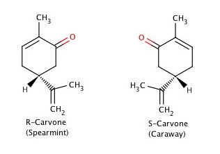 Carvone contiene un sistema conjugado y un sistema aislado