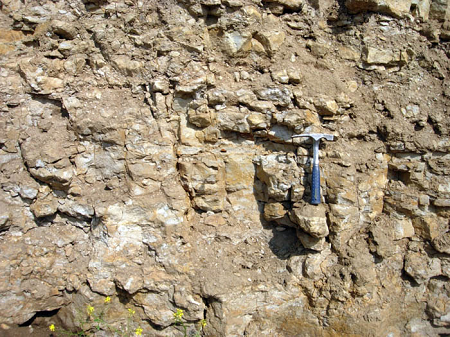 La imagen muestra un afloramiento de esquisto bituminoso con un martillo de roca como escala
