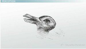 Ilusión óptica