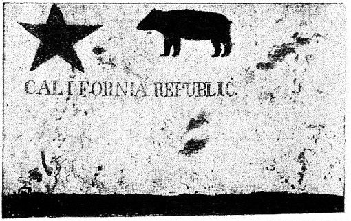 Bandera de la República del Oso