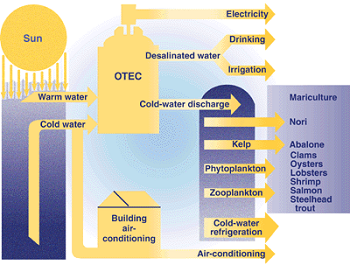 Diagrama que muestra cómo se pueden utilizar los subproductos de OTEC