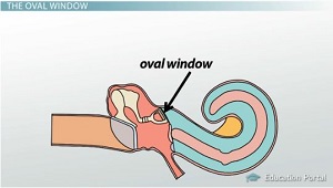 Ventana ovalada