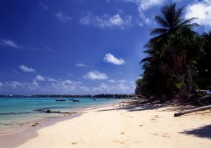 Playa del pacifico sur