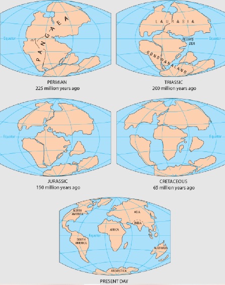 Los continentes que se mueven desde una gran masa de tierra conocida como Pangea a los continentes individuales de la actualidad.