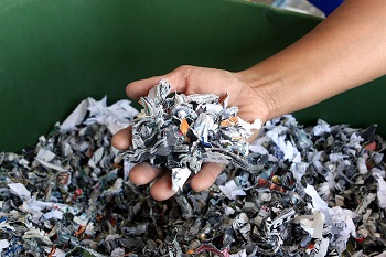 Papel en trizas