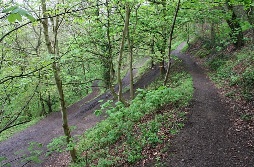 caminos