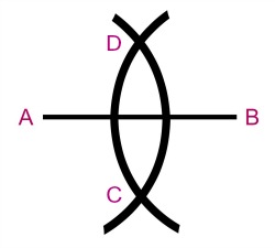 perpbis4