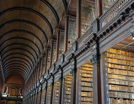 Imagen de una biblioteca para ilustrar la estética académica.