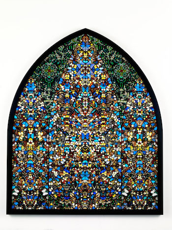 Hirst. Philips Butterflies.