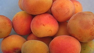 Albaricoques