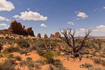 Desierto de utah