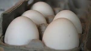Huevos
