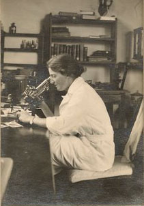Lucy Wills, descubridora del folato